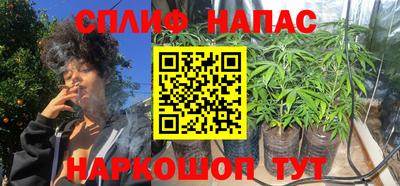 гашик Гусев