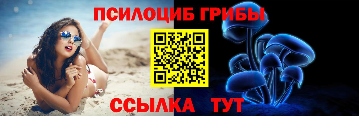 Галлюциногенные грибы Psilocybine cubensis  Вход с VPN  Карасук  Псилоцибиновые грибы Magic Shrooms 